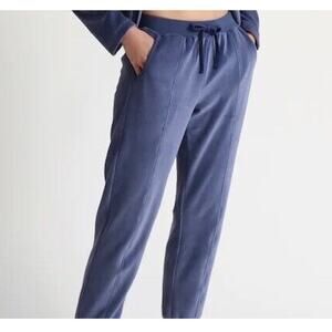 SKIN WORLDWIDE Audriana Azure Blue Velour Joggers Women's Size 2/M NWT